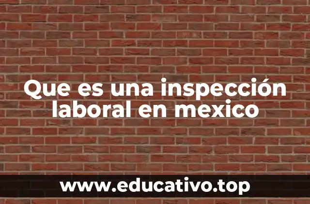 Que es una inspección laboral en mexico