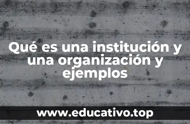 Qué es una institución y una organización y ejemplos
