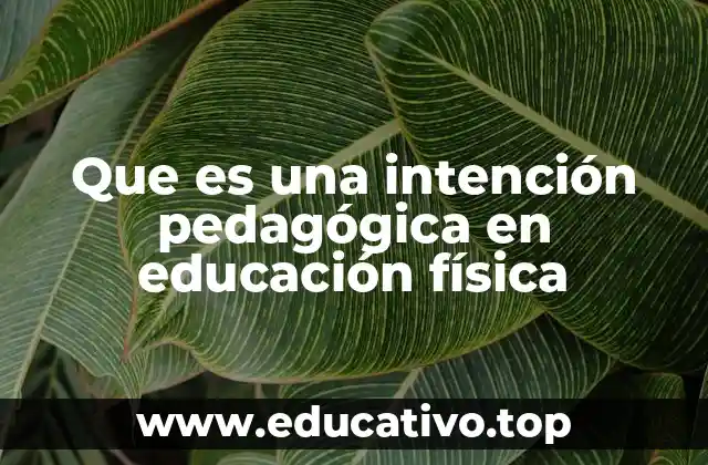 Que es una intención pedagógica en educación física