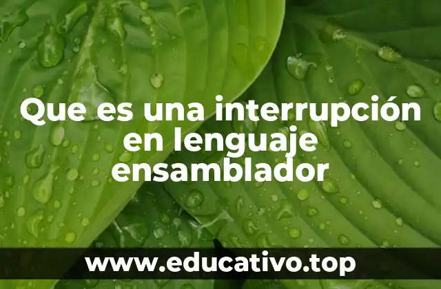 Que es una interrupción en lenguaje ensamblador