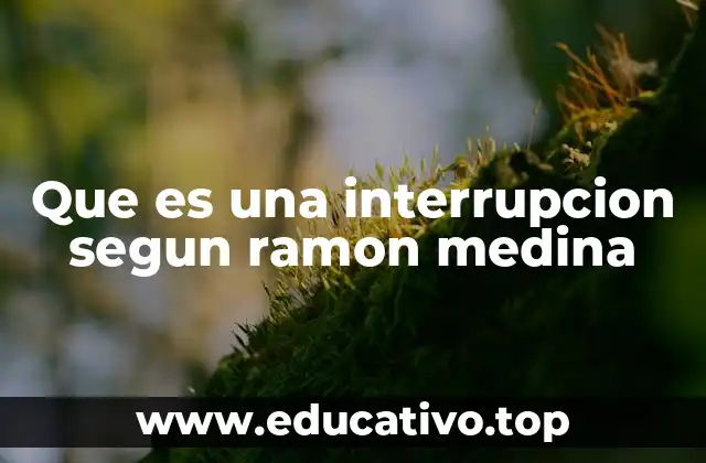 Que es una interrupcion segun ramon medina