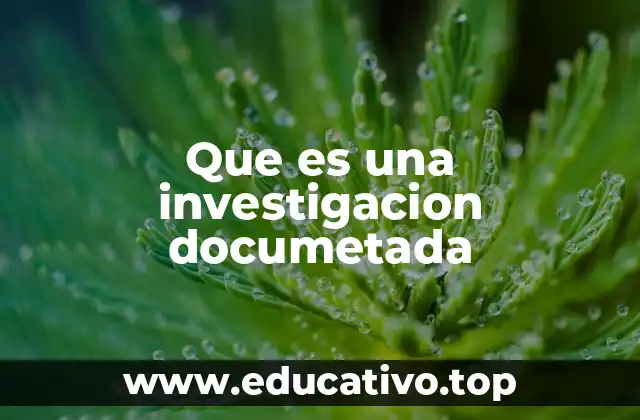 Que es una investigacion documetada