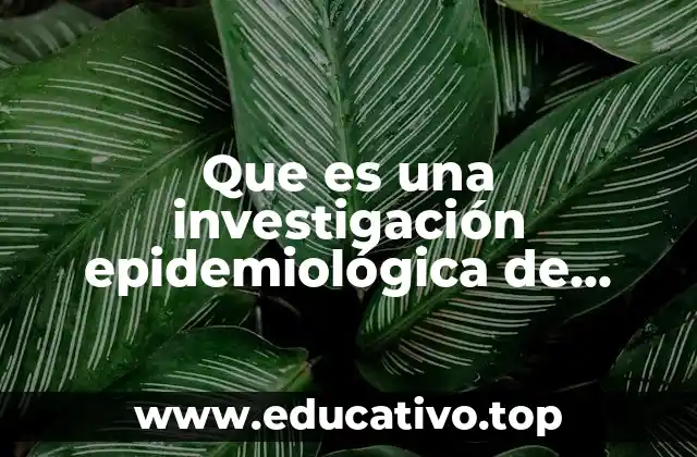 Que es una investigación epidemiológica de campo