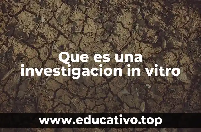Que es una investigacion in vitro