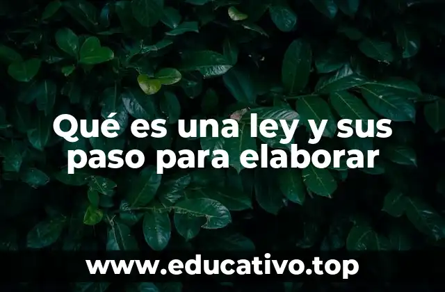 Qué es una ley y sus paso para elaborar