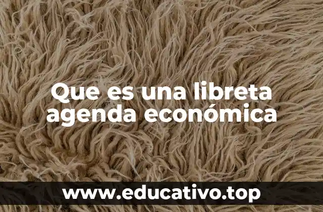 La importancia de planificar con una agenda económica