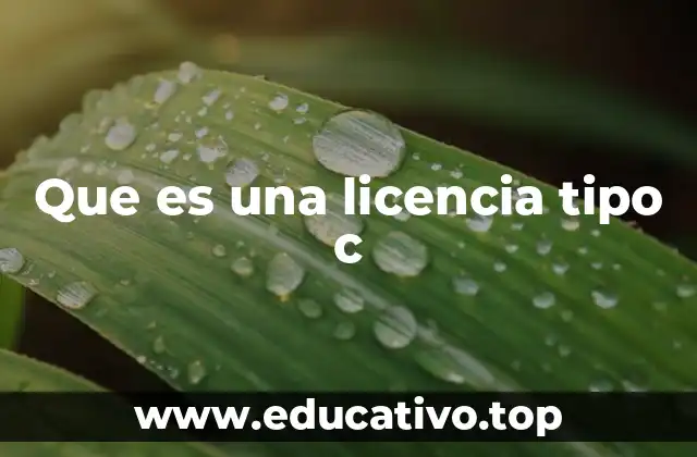 Tipos de licencias y su contexto