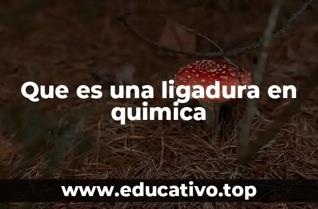 Que es una ligadura en quimica