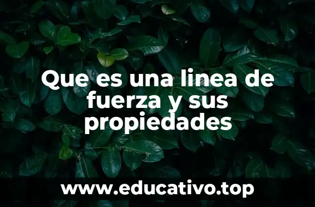 Que es una linea de fuerza y sus propiedades