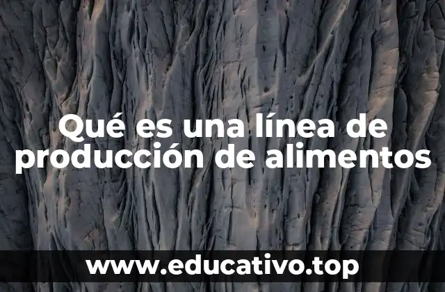 Qué es una línea de producción de alimentos