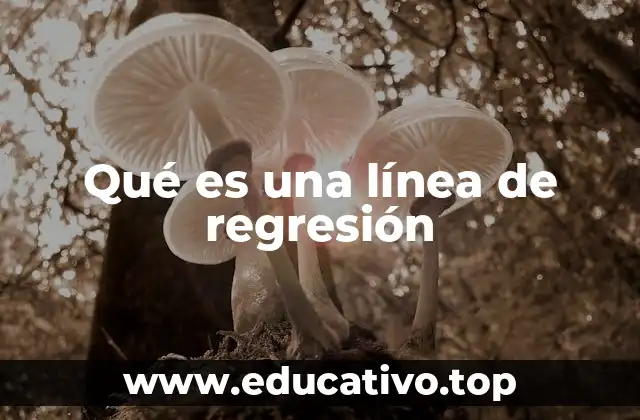 La relación entre variables y la importancia de la regresión