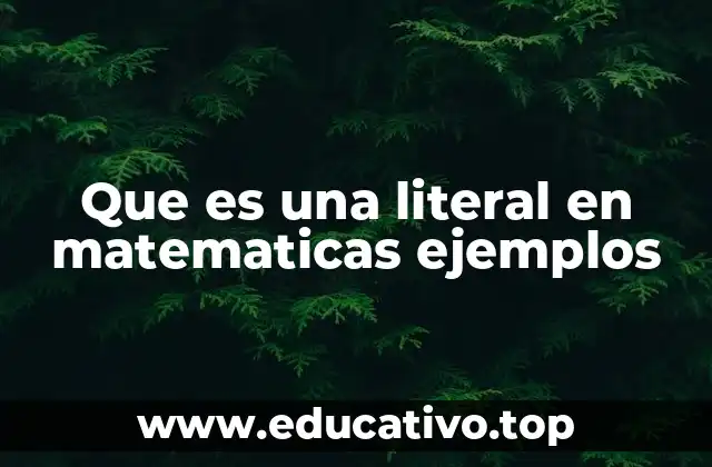 La importancia de las literales en el álgebra