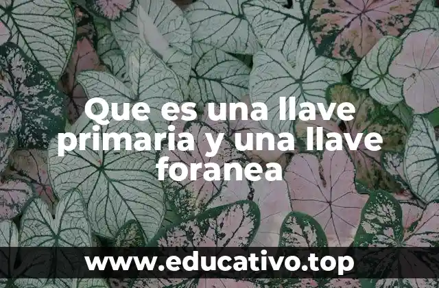 Que es una llave primaria y una llave foranea