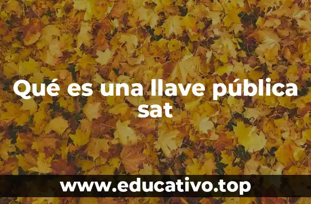 Qué es una llave pública sat