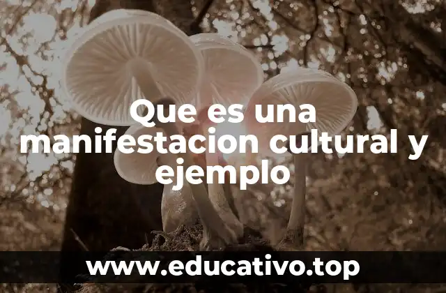 Que es una manifestacion cultural y ejemplo