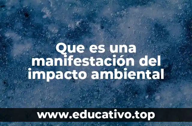 Cómo se identifican las consecuencias ambientales derivadas de nuestras acciones