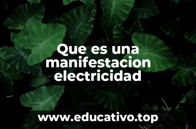 Cómo se manifiesta la electricidad en la naturaleza y en la tecnología