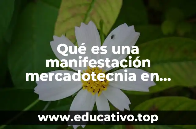 La importancia de las acciones promocionales en el marketing moderno