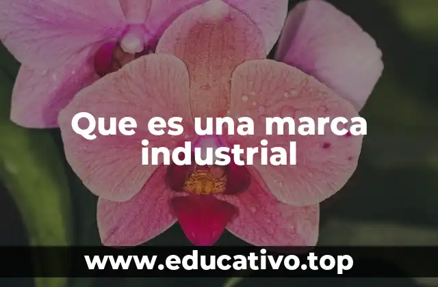 Que es una marca industrial