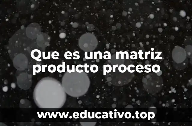 Que es una matriz producto proceso