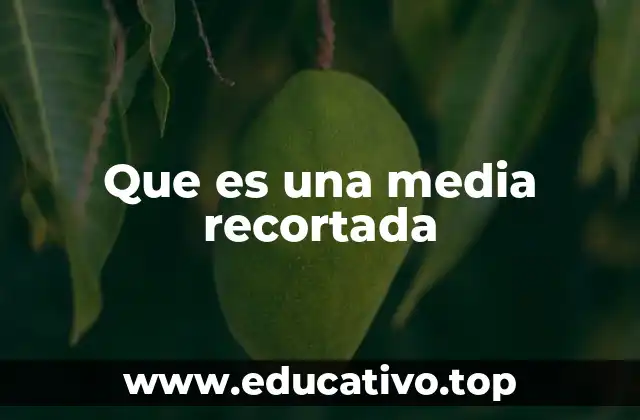Características y beneficios de las medias recortadas
