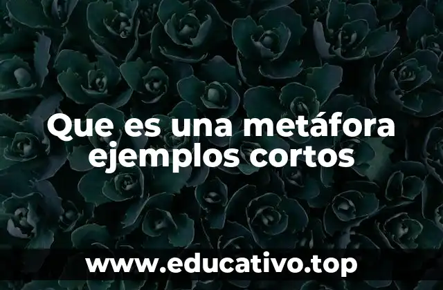Que es una metáfora ejemplos cortos