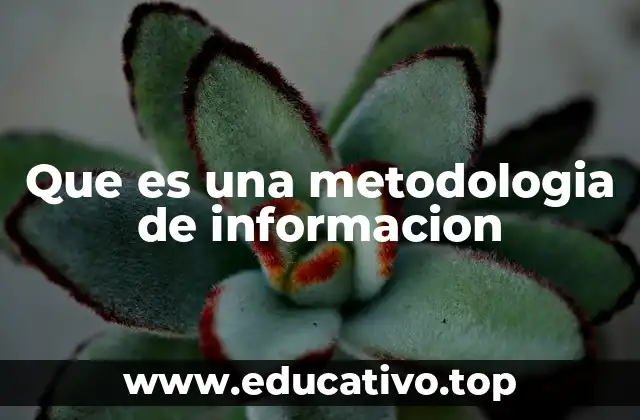 Que es una metodologia de informacion