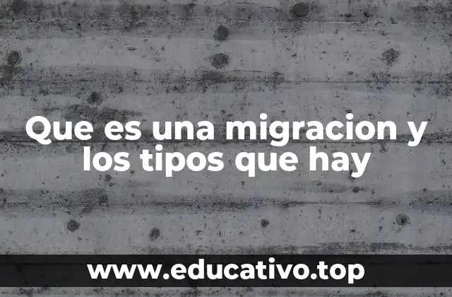 Que es una migracion y los tipos que hay