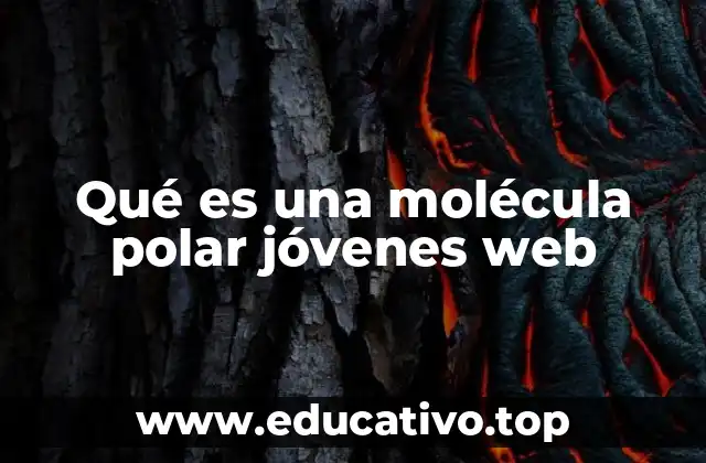 Qué es una molécula polar jóvenes web
