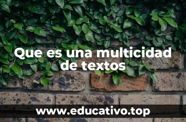 Que es una multicidad de textos
