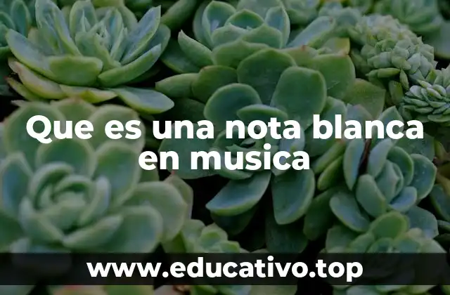 Que es una nota blanca en musica