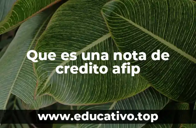 El rol de las notas de crédito en el sistema fiscal argentino