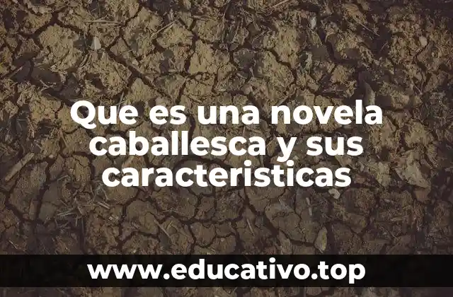 Que es una novela caballesca y sus caracteristicas