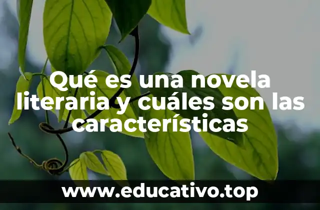 Qué es una novela literaria y cuáles son las características