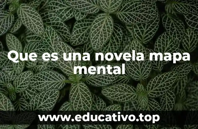 Que es una novela mapa mental