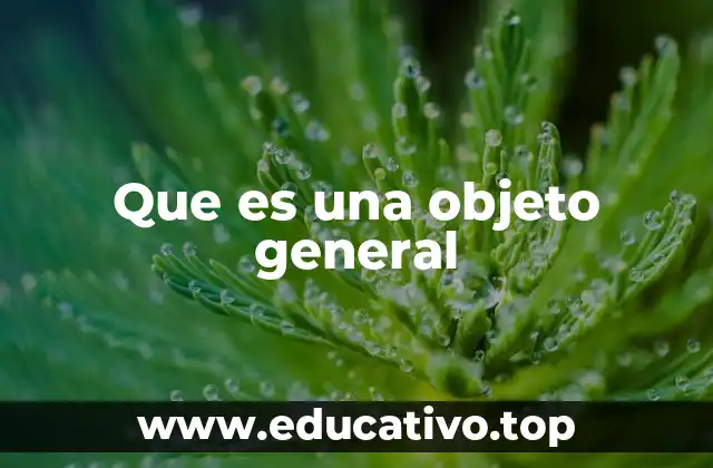Que es una objeto general