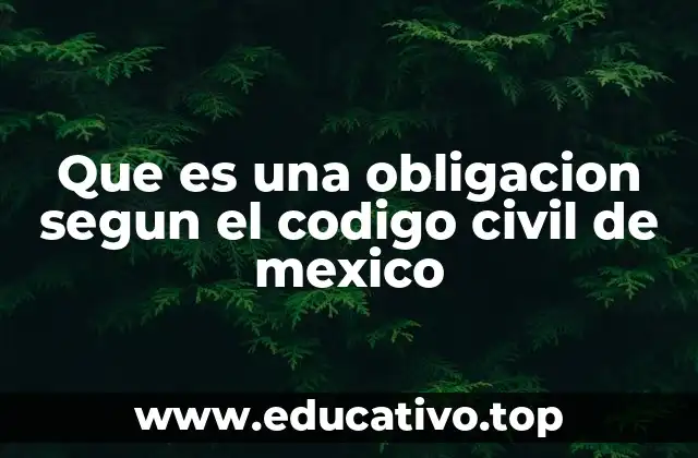 Que es una obligacion segun el codigo civil de mexico