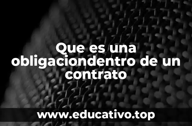 El papel de las obligaciones en la relación contractual