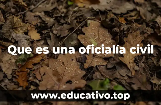 Que es una oficialía civil