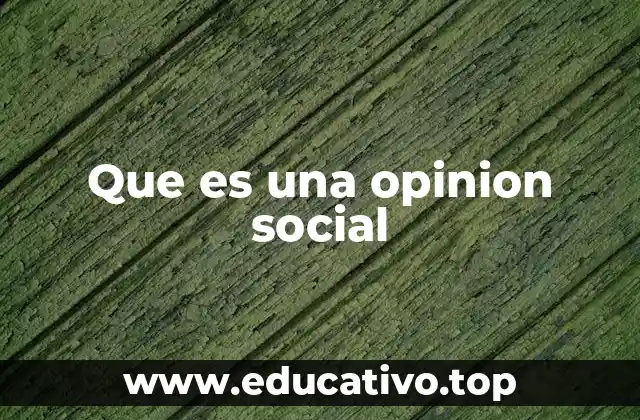 Que es una opinion social