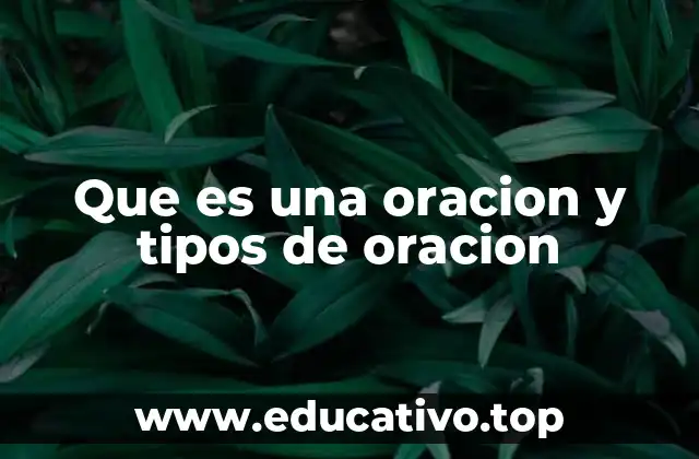 Que es una oracion y tipos de oracion