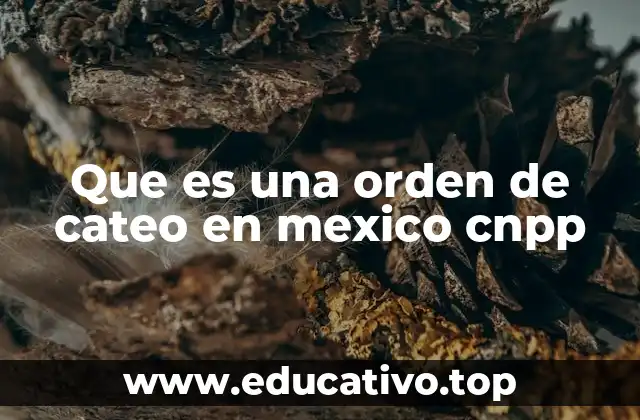 Que es una orden de cateo en mexico cnpp