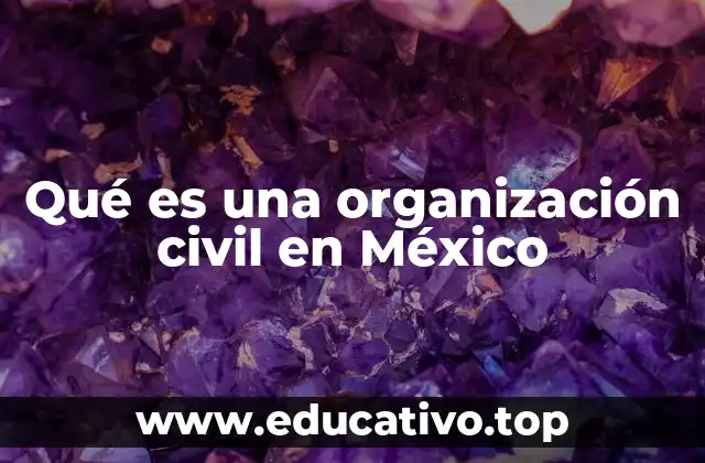 El rol de las organizaciones civiles en el desarrollo social