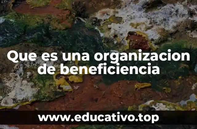 Que es una organizacion de beneficiencia