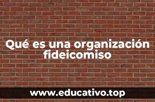 Qué es una organización fideicomiso