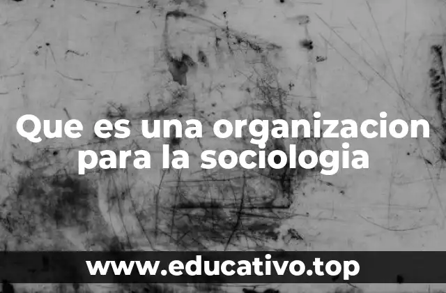 Que es una organizacion para la sociologia