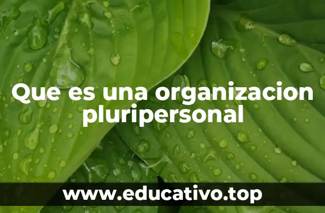 Que es una organizacion pluripersonal
