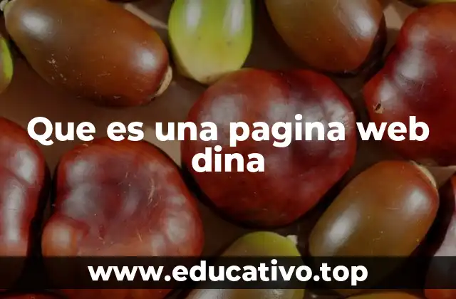 Que es una pagina web dina