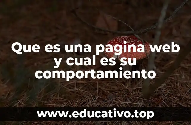 Que es una pagina web y cual es su comportamiento