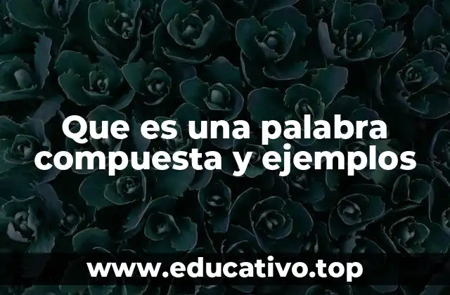 Que es una palabra compuesta y ejemplos